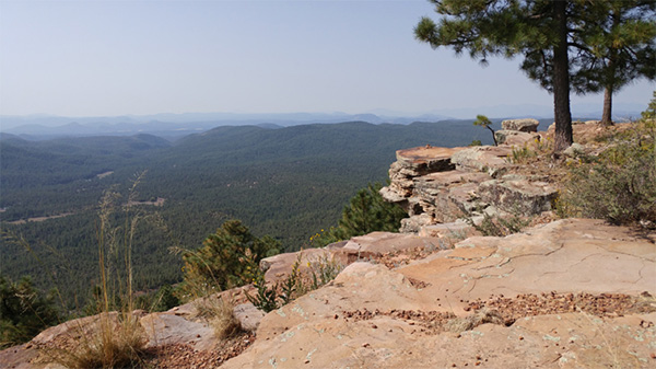 view