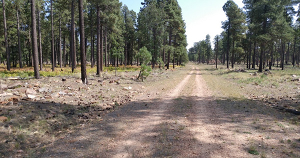 road