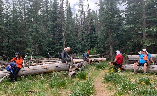 log