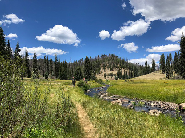 trail