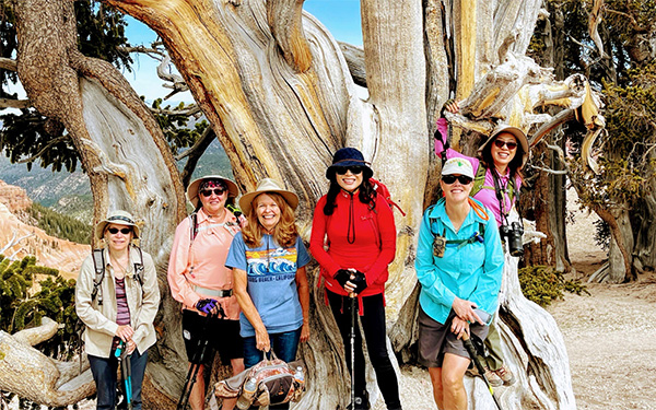 hikers