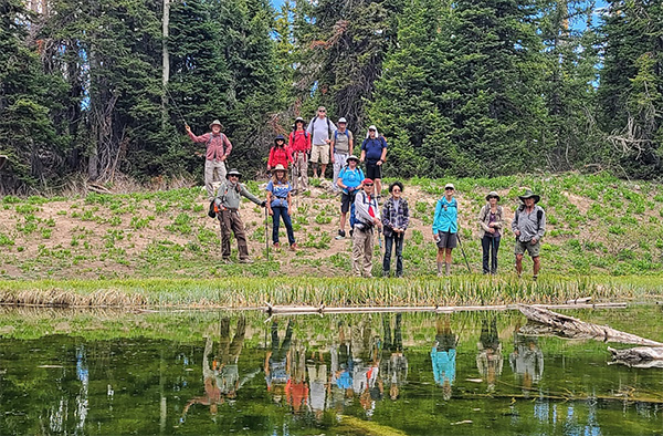 group