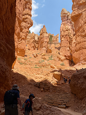 hikers