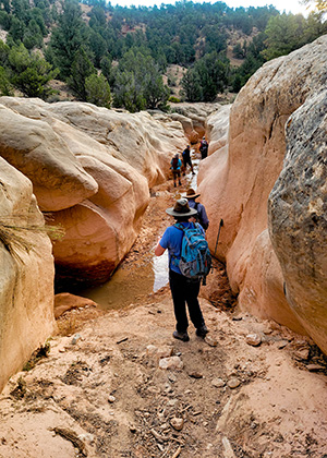 hikers