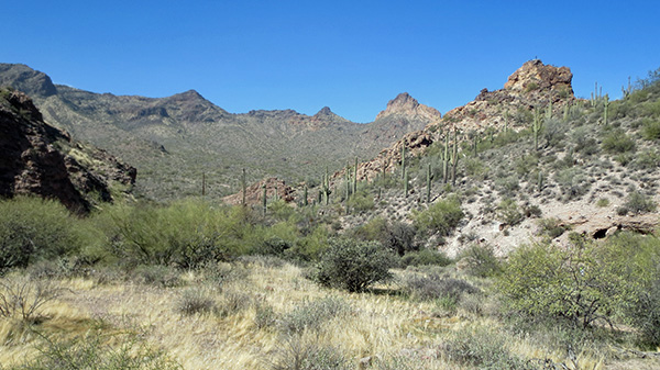 view