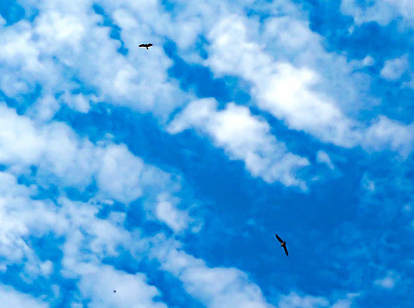 sky