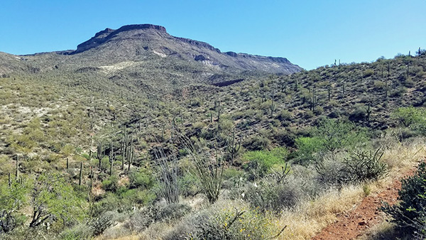 view