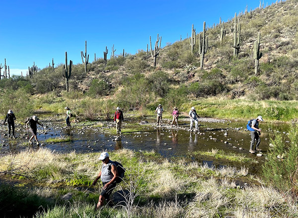 hikers