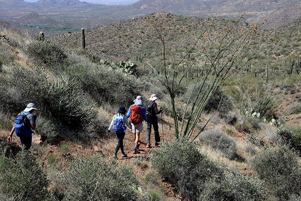 hikers