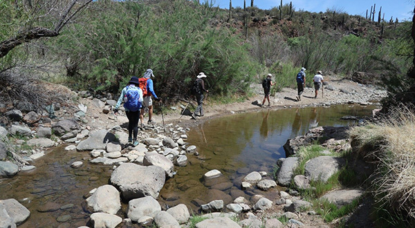 hikers