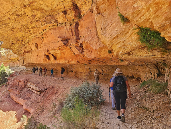 hikers