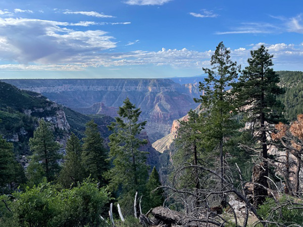 view