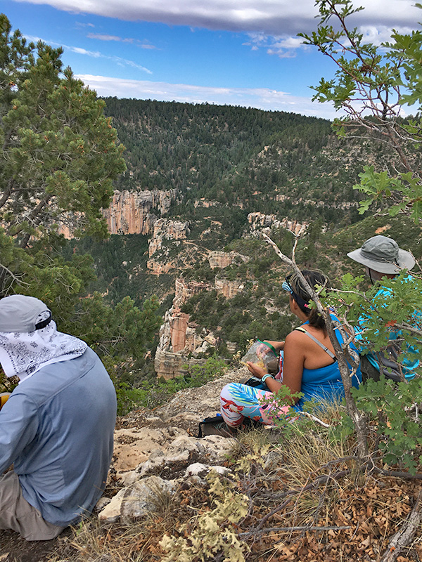 hikers