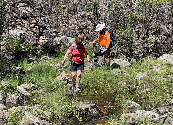 hikers