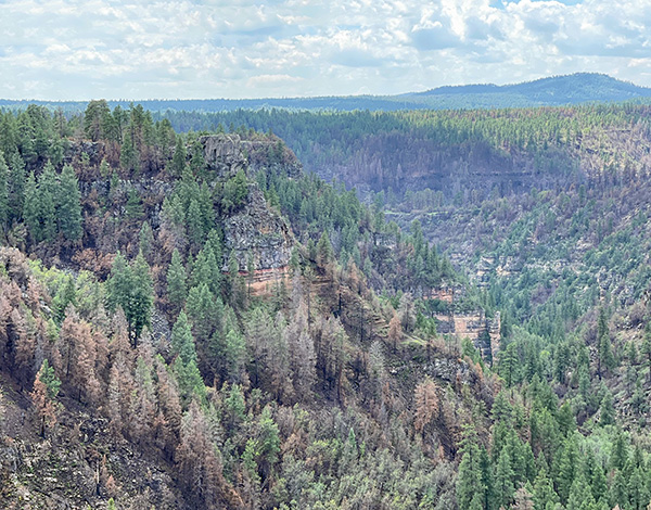canyon