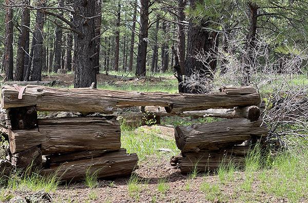 logs