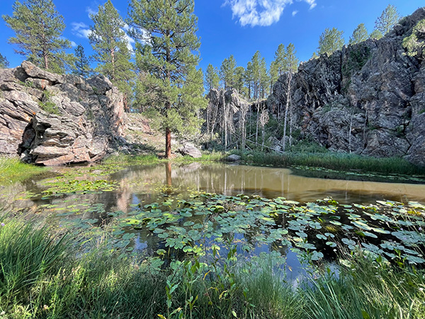 pond