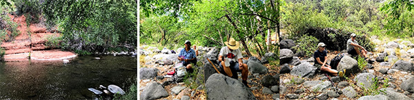 hikers