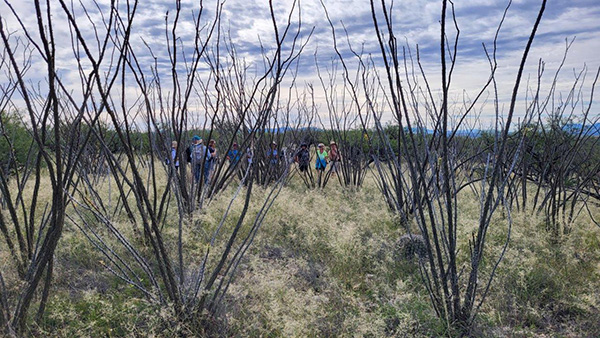 hikers