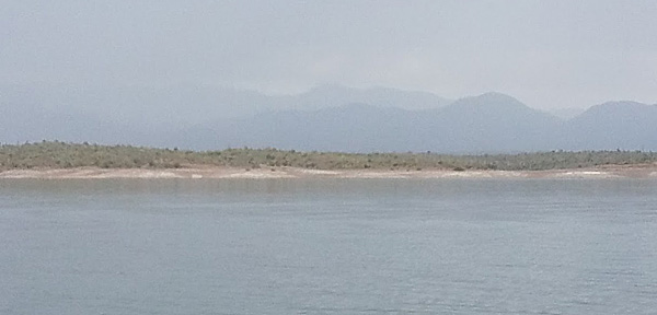 view