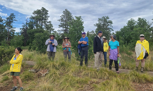 hikers