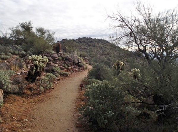 trail