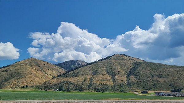 view