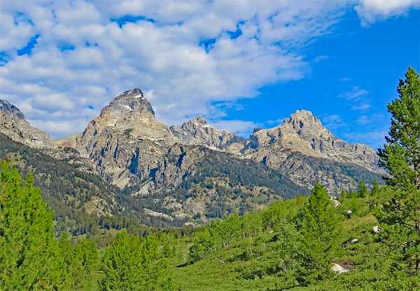 view