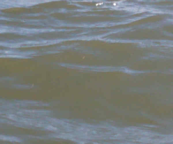 RoughWaters
