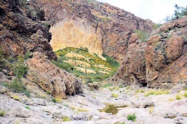 Mountainside-Michael