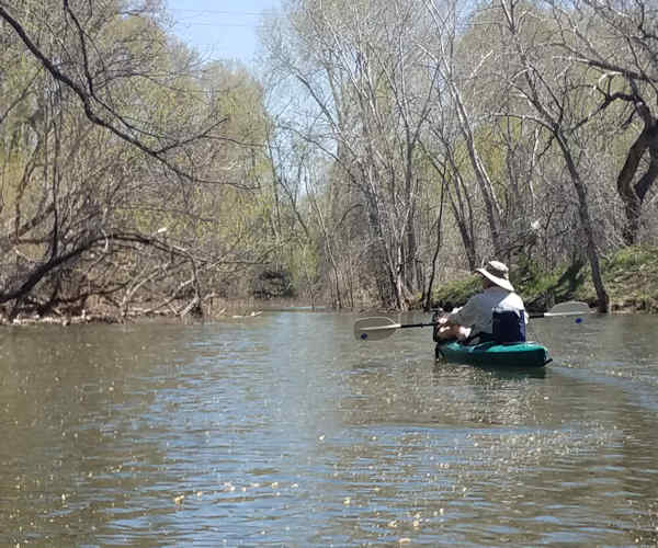 Kayak