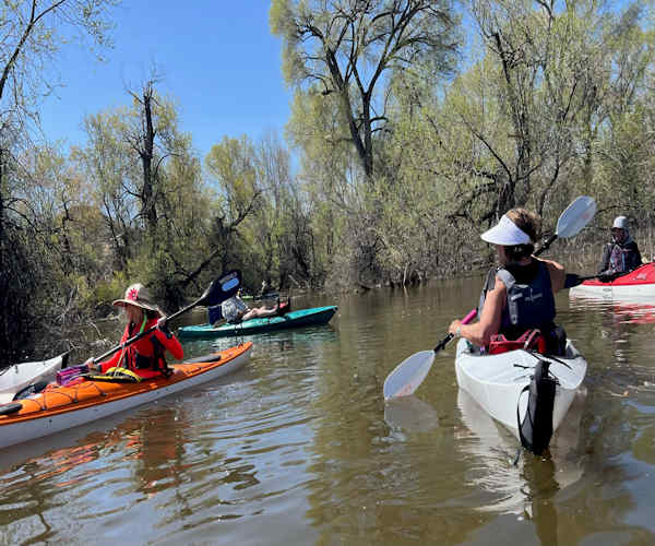 Kayakers