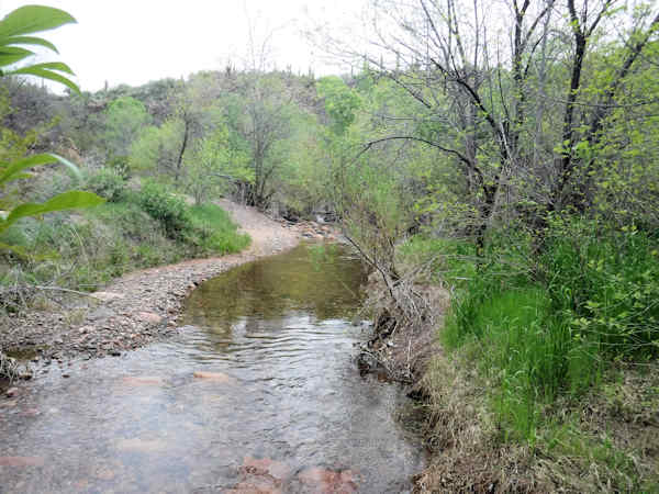 Creek