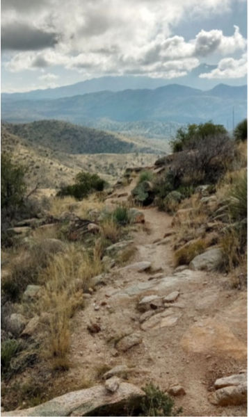AZ09
