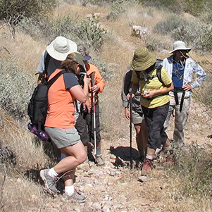 hikers