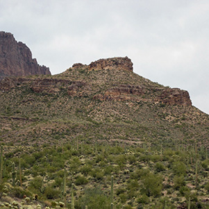 IMG_2451_564