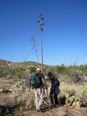 hikers
