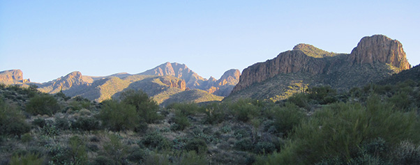 view