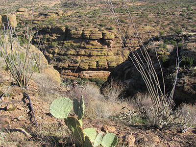 canyon
