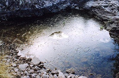 ice