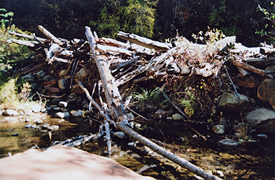 debris