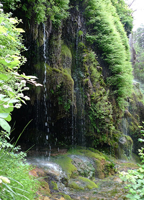 GreenFalls