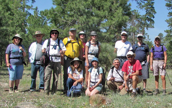 RC16_GROUP