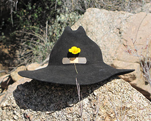 OC3_21HAT