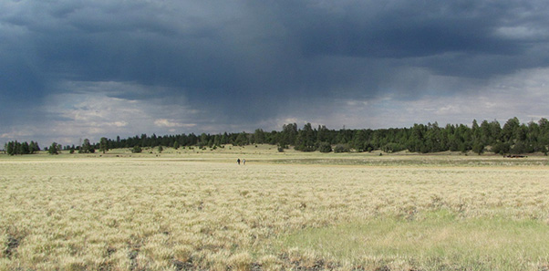 WP47_RAIN