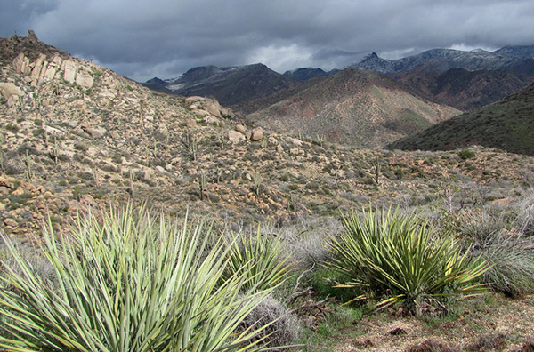 L16_INDIAN_SPRING_PEAK
