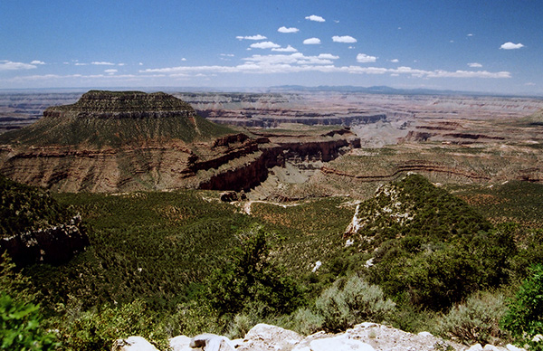 NorthTimp1_CP