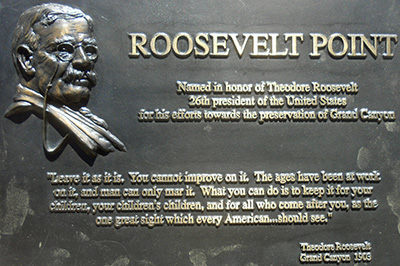 Roosevelt_Point
