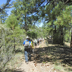 Trail1_John