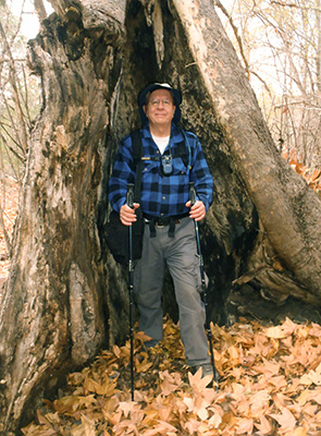 Trees3_John_S